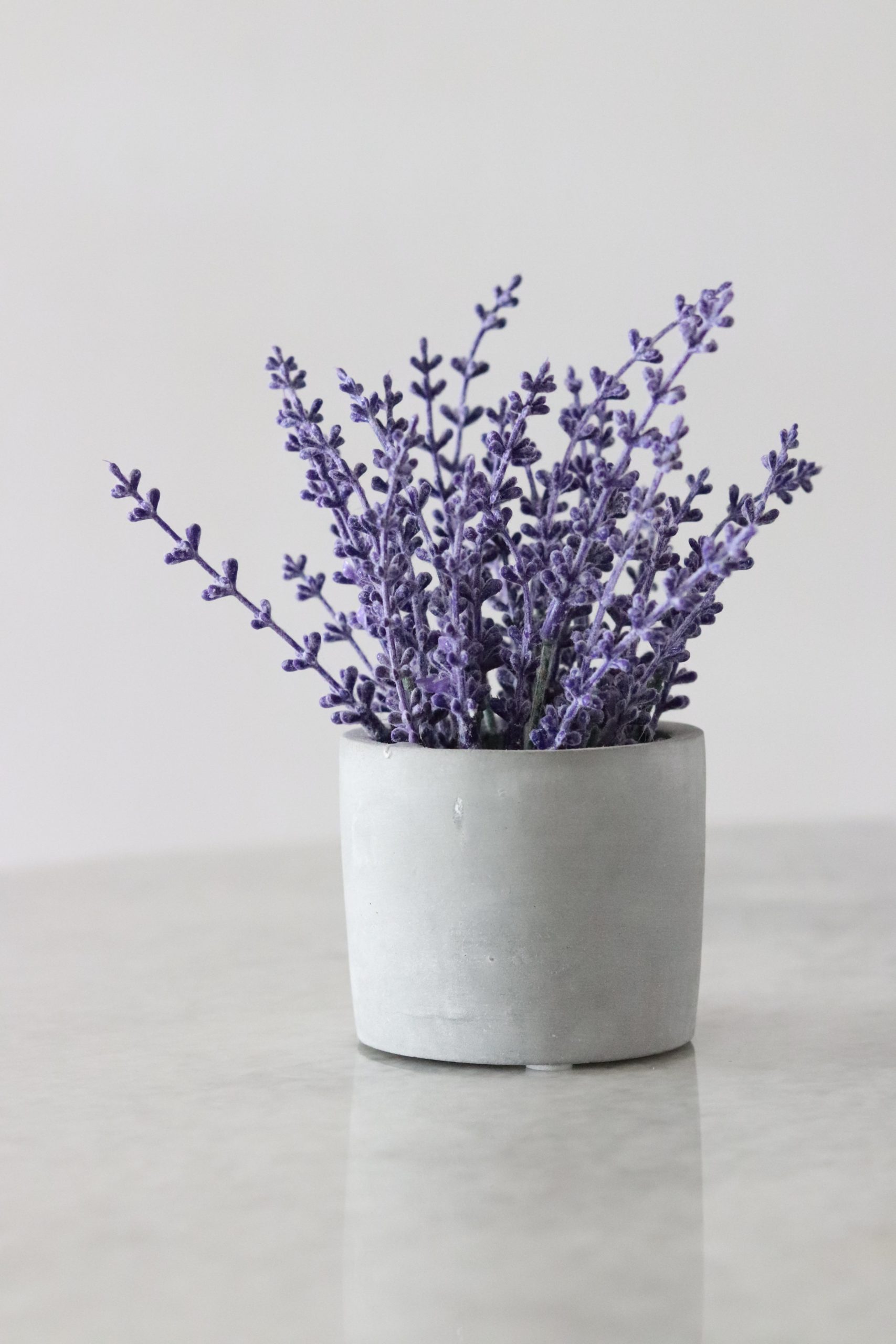 Lavender: create your own essential oil